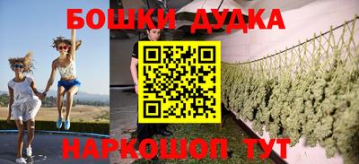 шишки Дубна