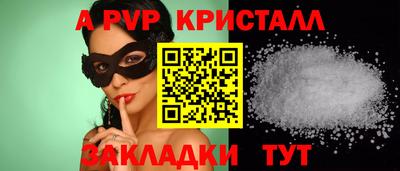 шишки Дубна