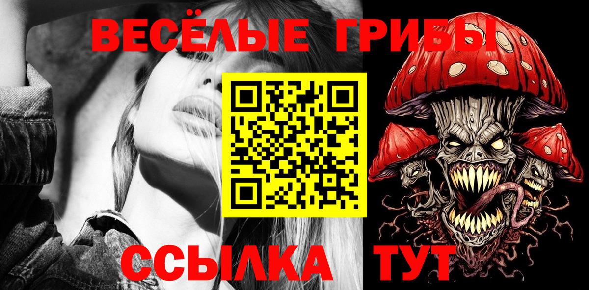 Галлюциногенные грибы Psilocybe  Вход с VPN  Кореновск 